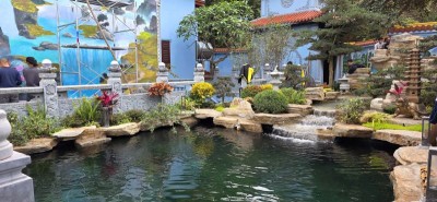 Thiết kế thi công sân vườn tiểu cảnh
